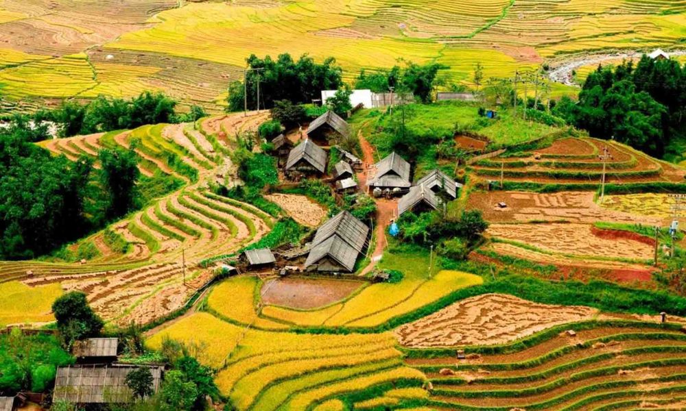 Sapa Vietnam